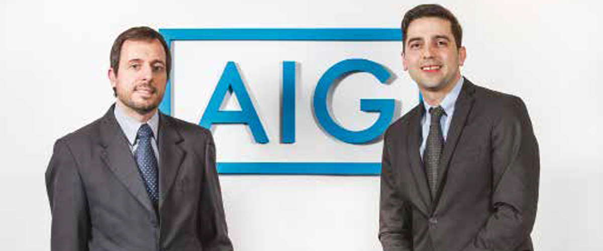 :: AIG : : Una nueva estructura de gestión. :: AIG : : Una nueva estructura de gestión.