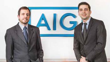 :: AIG : : Una nueva estructura de gesti�n.