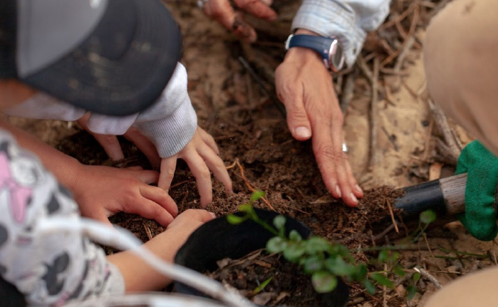 Planea llegar a los 5 millones de árboles plantados a nivel global para 2030 Planea llegar a los 5 millones de árboles plantados a nivel global para 2030