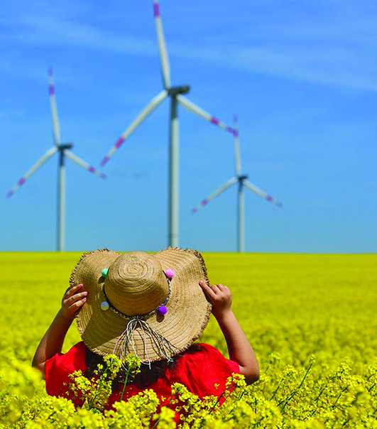 �Desde qu� lugar las Compa��as aportan valor a la sostenibilidad?